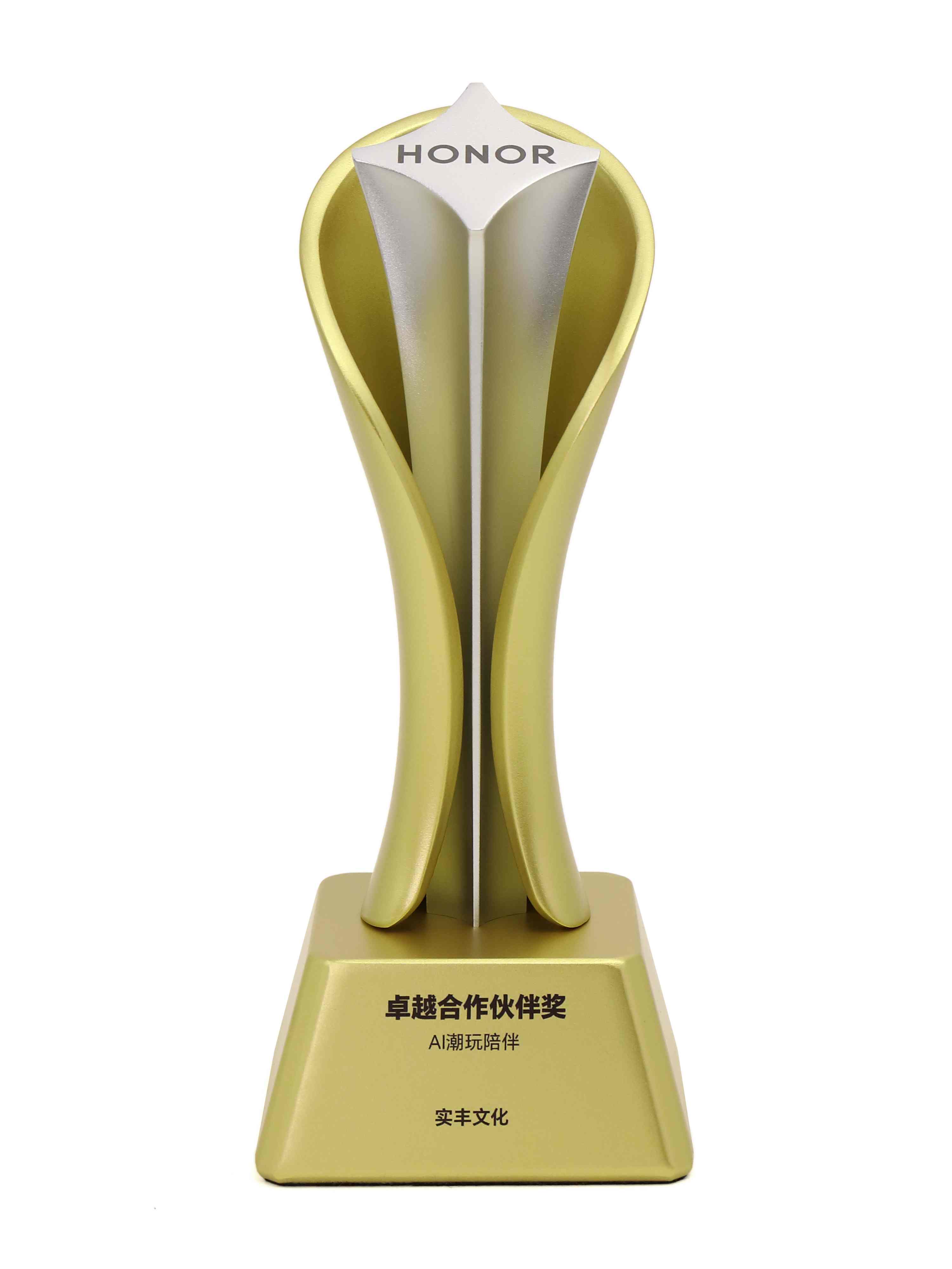 卓越合作伙伴奖