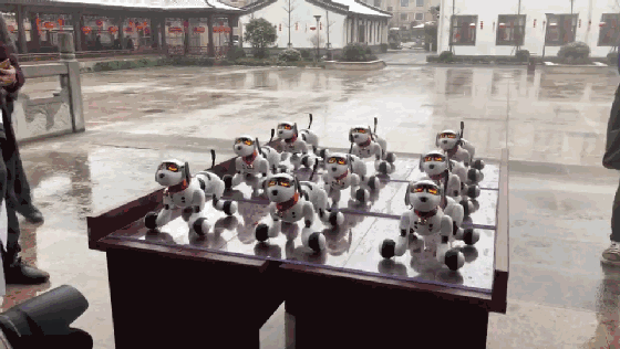 实丰旺仔小六央视“小春晚”惊艳亮相 玩具智造正式启航